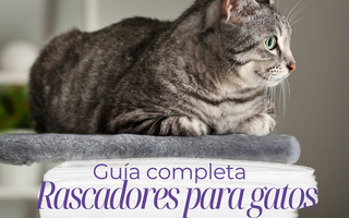 Elige el Mejor Rascador para Gatos: Guía Completa para Proteger tus Muebles y Mantener Feliz a tu Felino