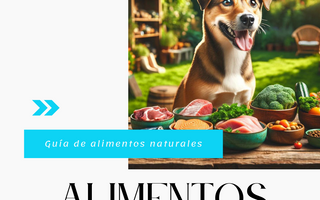 Nutrición Natural para Perros: Un Camino hacia su Bienestar Integral