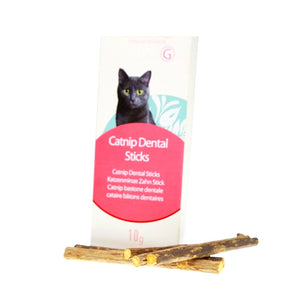 Catnip dental stick