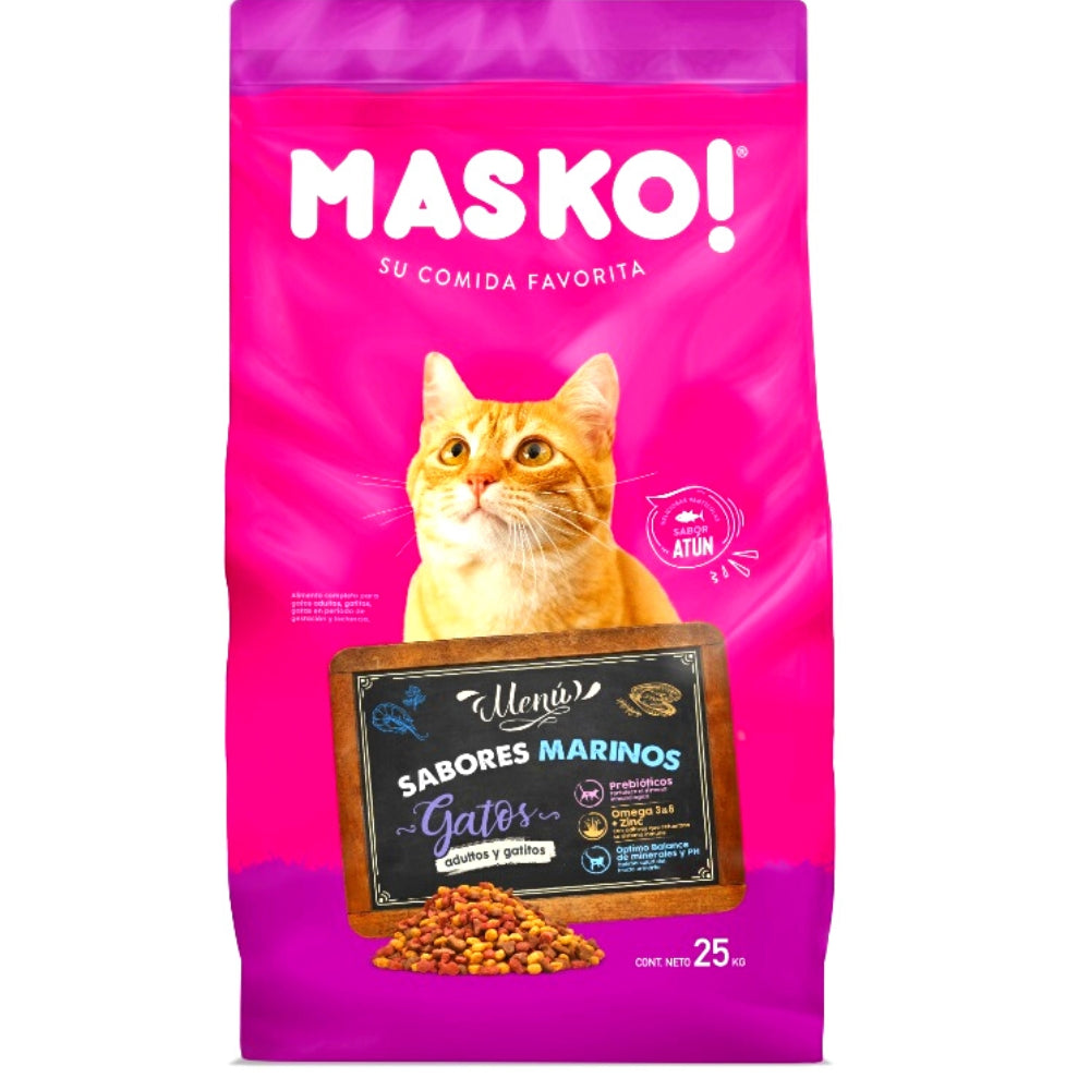 Masko Cat