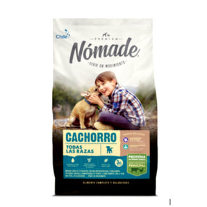 Nómade cachorro