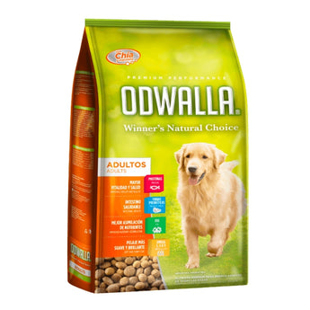 Odwalla adulto